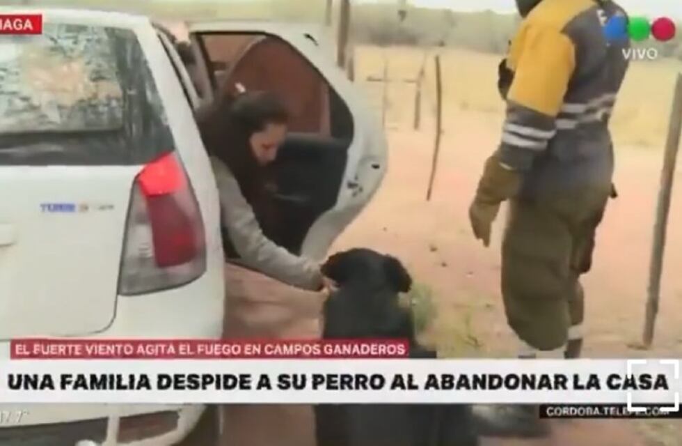 Insólito y desgarrador: por los incendios en Córdoba una familia evacuada abandonó a su mascota