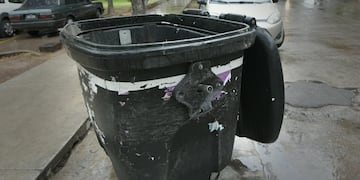 Encontraron restos óseos humanos en un contenedor en Guaymallén (Orlando Pelichotti / Los Andes)