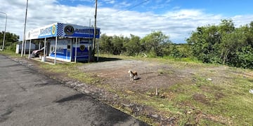 Sacaron más de 170 vehículos abandonados en Brazo Largo