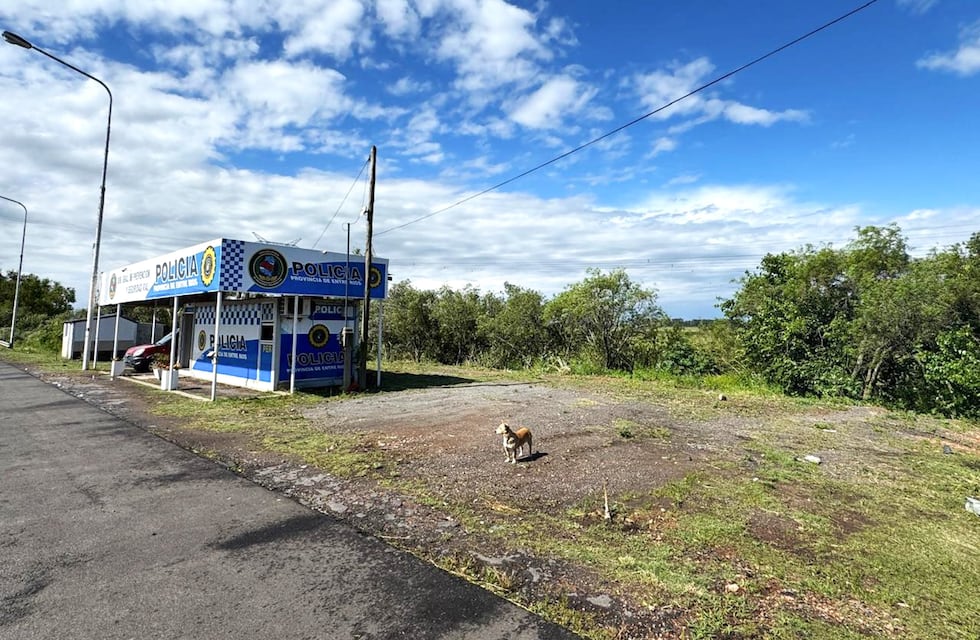 Fin de la postal incómoda: sacaron más de 170 vehículos abandonados en Brazo Largo