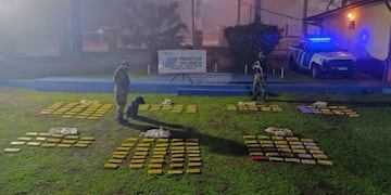 Secuestran millonario cargamento de marihuana en Misiones.