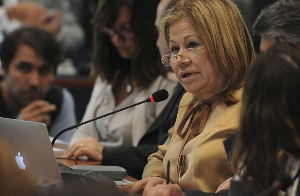 Biocombustibles: Graciela Camaño considera que “hay un grupo de diputados que está muy interesado en meter el jugador petrolero”