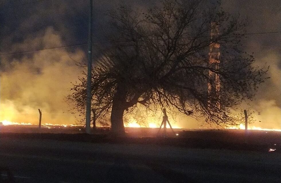 Incendios forestales en Córdoba: qué pasó con el foco desatado en Sinsacate