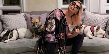 Robaron los perros de Lady Gaga y ofrecen una de recompensa 10 millones de pesos