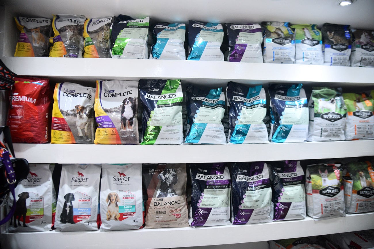 En el mercado existen diferentes opciones para alimentar a tu perro. (La Voz / Archivo)