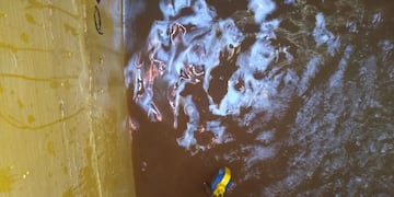 Realizan la limpieza del tanque de agua en Villa San Miguel.