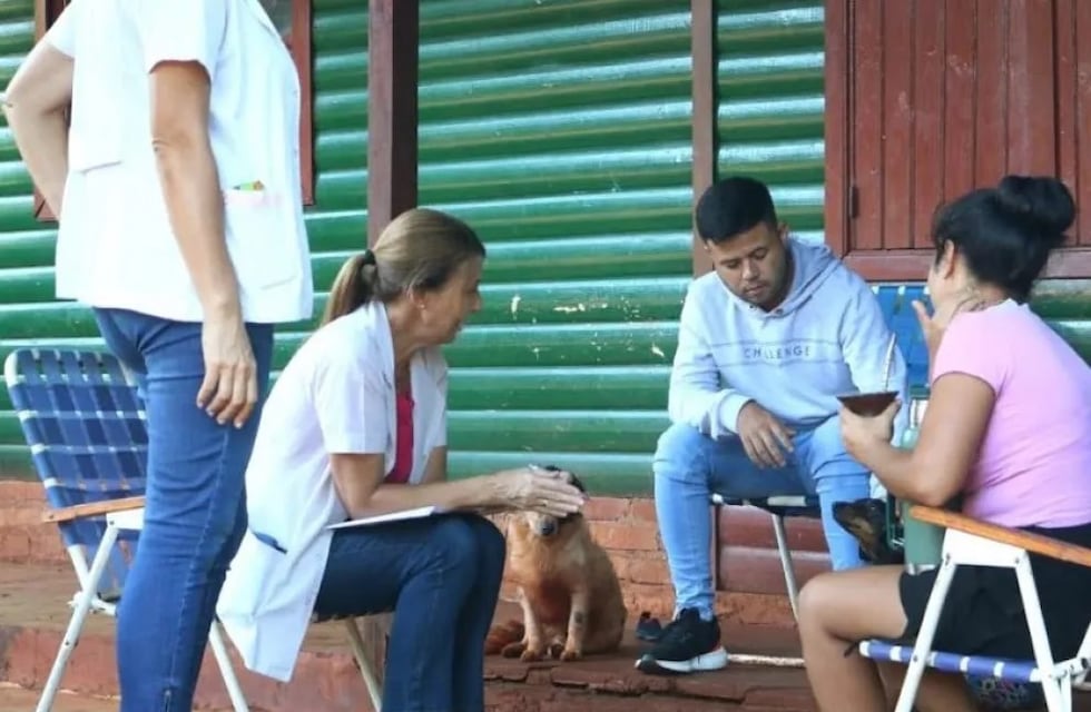 Refuerzan tareas contra la enfermedad del dengue en Montecarlo