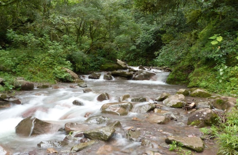 El destino verde que te va a enamorar y que queda a tan solo 20 minutos de Salta