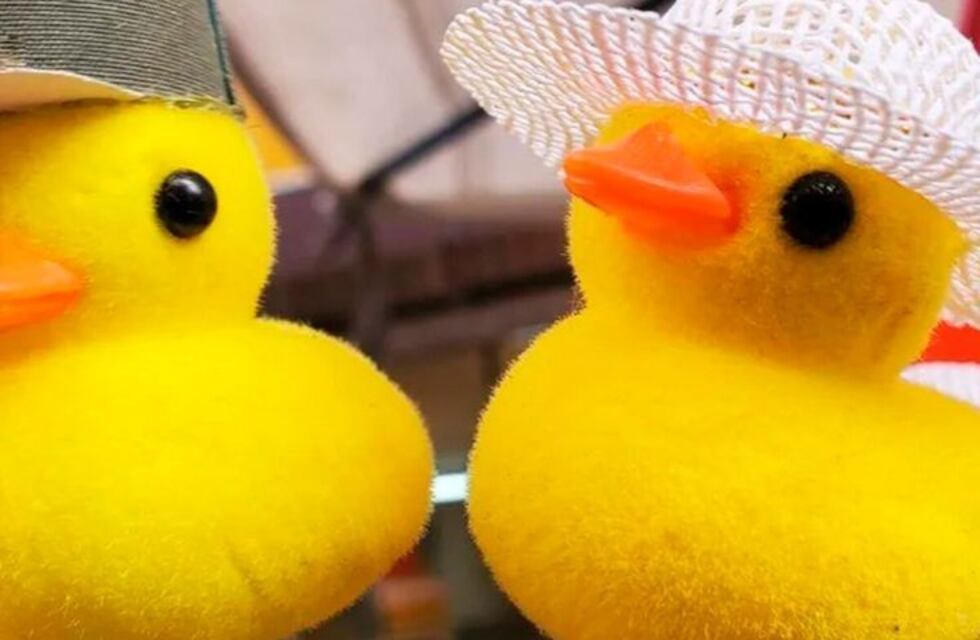 Los patitos en la cabeza ya pasaron de moda: los venden casi regalados en Once