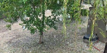 En Las Bajadas, cayó granizo en horas de la tarde de este domingo.