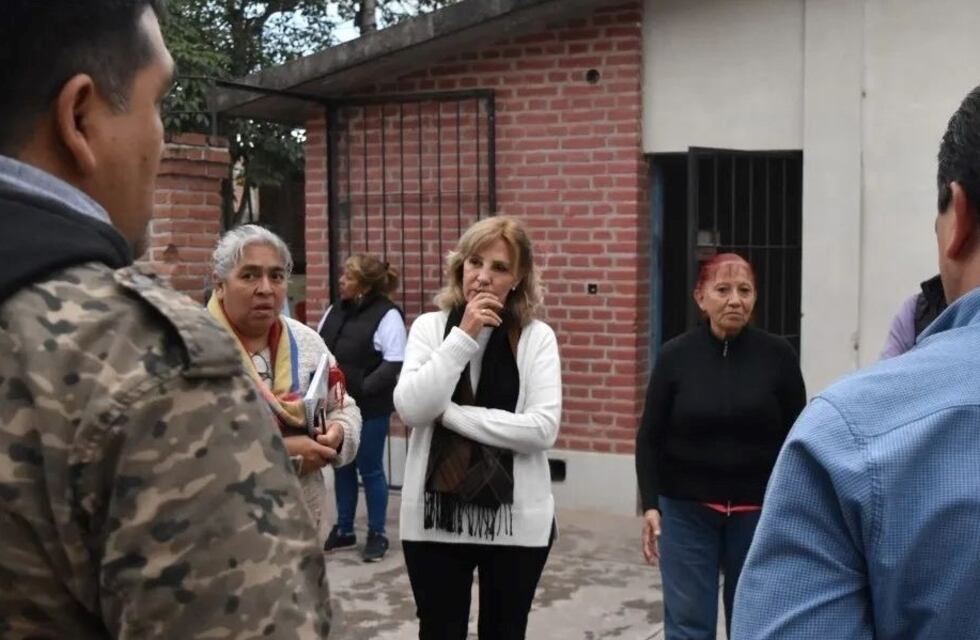 “Tengo una propuesta para cada problemática de los vecinos”, dice Liliana Fellner