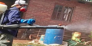 Cada semana realizan actividades de control focal y descacharrado en la ciudad.