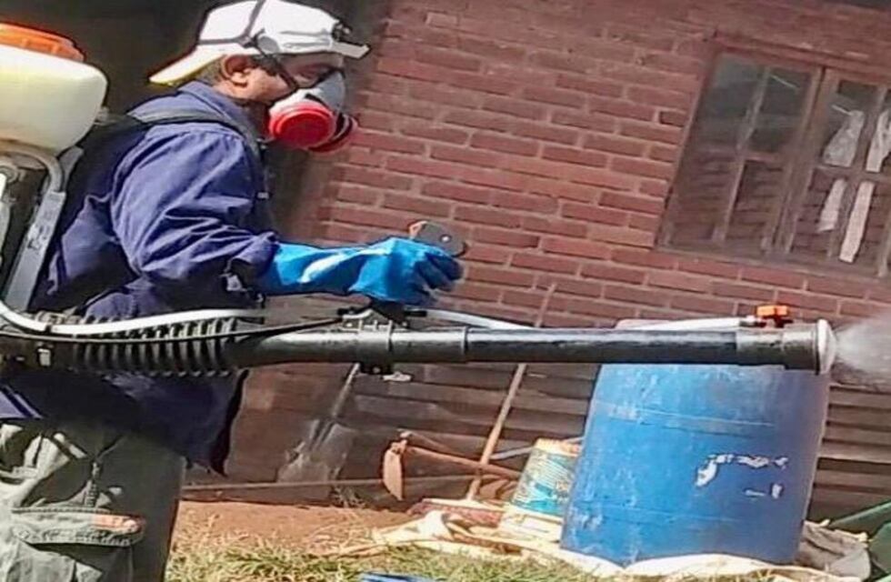 60 barrios fueron beneficiados por operativos de la Dirección de Ambiente y Control de Vectores