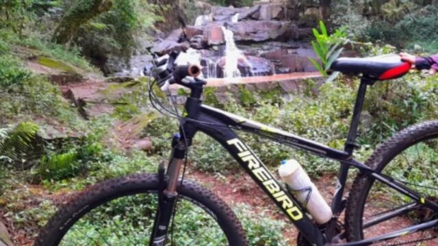 Eldorado: robaron una bicicleta de una vivienda y solicitan su restitución.