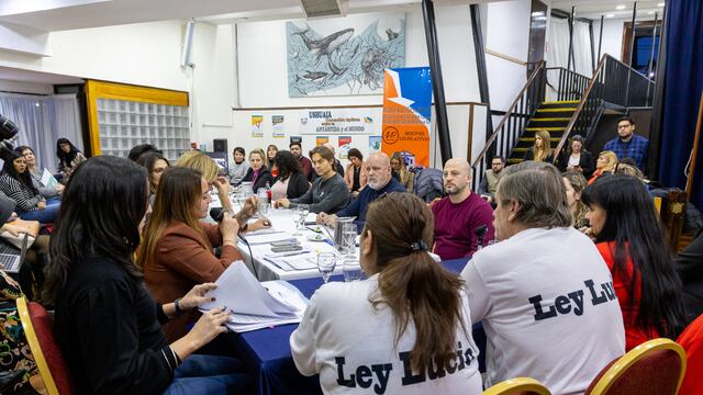 Buscan reglamentar la Ley Lucio en Tierra del Fuego
