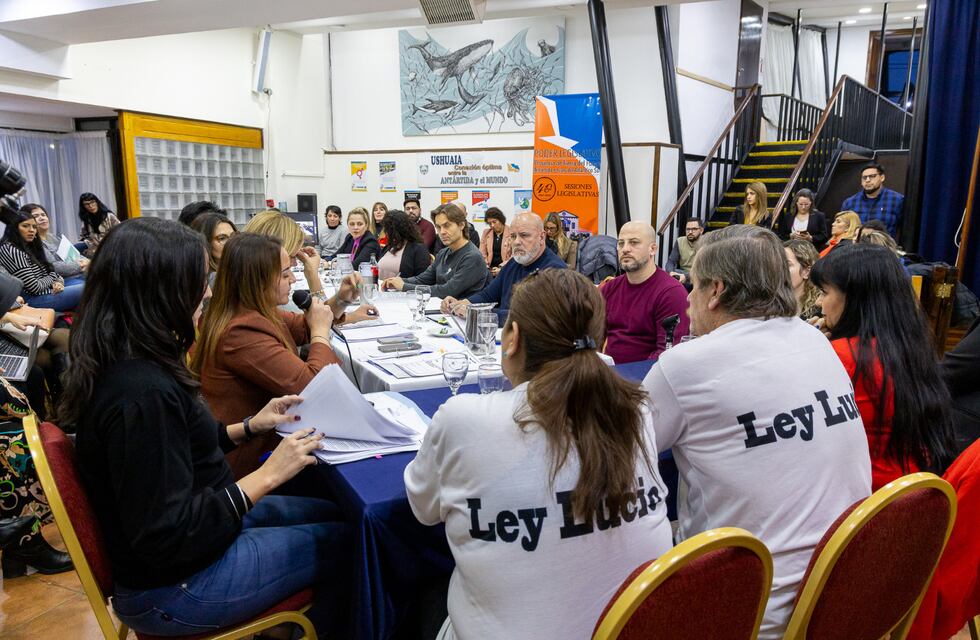 Buscan reglamentar la Ley Lucio en Tierra del Fuego