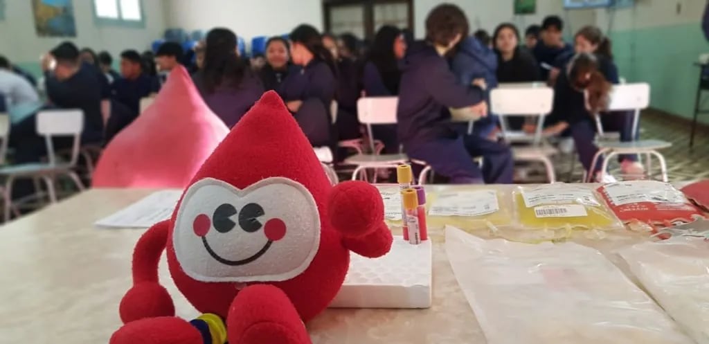 Más de 7.500 donaciones de sangre permitieron casi 11.000 transfusiones este año en Jujuy. Según las estadísticas, en algún momento nueve de cada diez personas necesitarán sangre para si o para alguien cercano.