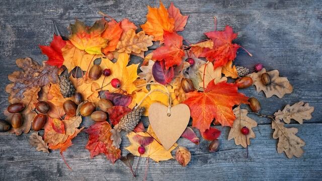 Equinoccio de otoño: a qué signos del zodíaco les afectará la llegada de este misterioso evento.