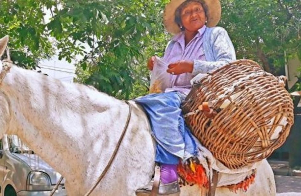 La emblemática “tamalera” de Salta recibió un nuevo caballo para seguir trabajando