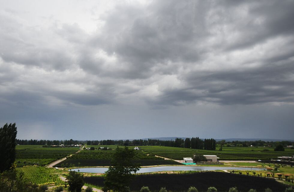 Clima en Mendoza: este miércoles descenderá la temperatura y anticipan tormentas