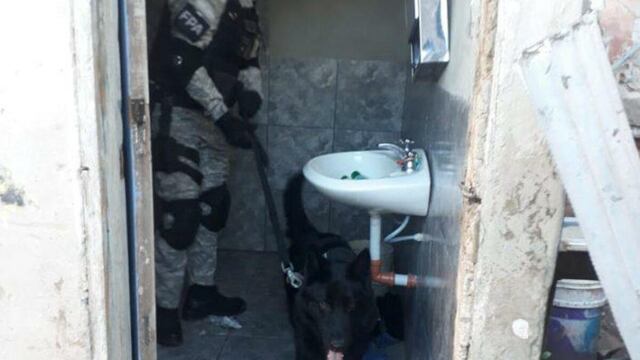 Con perros detectaron la droga (Ministerio Público Fiscal)