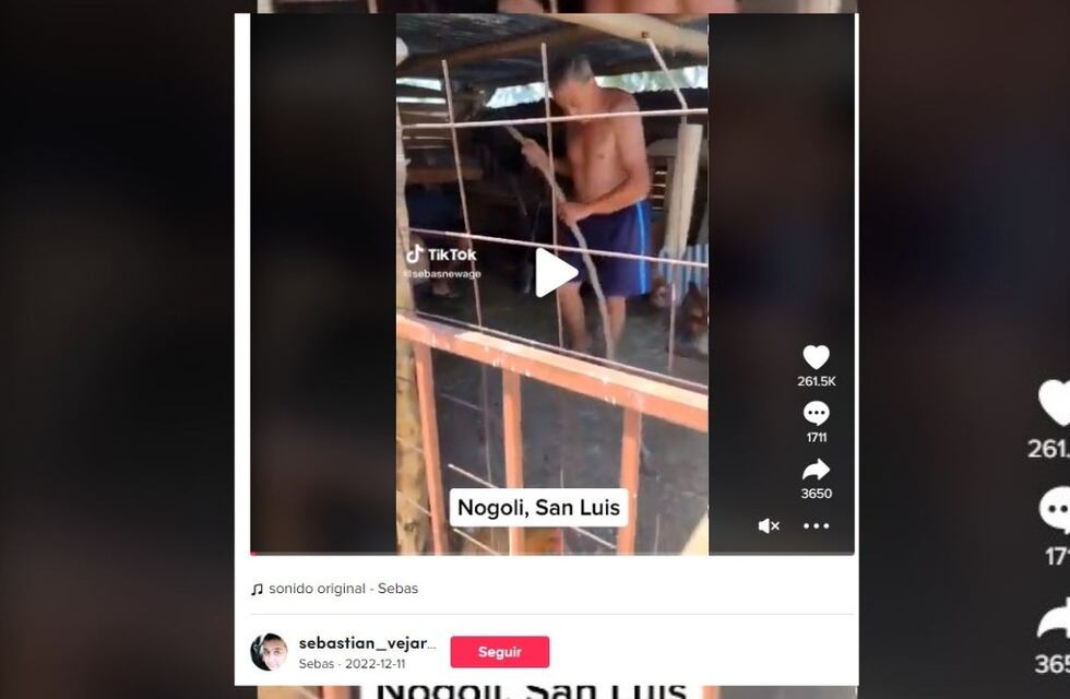 ¡Tremendo susto! Un exótico animal apareció en una casa de San Luis y se hizo viral