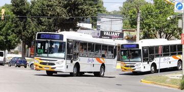 Nuevo Servicio de Transporte Urbano en Carlos Paz