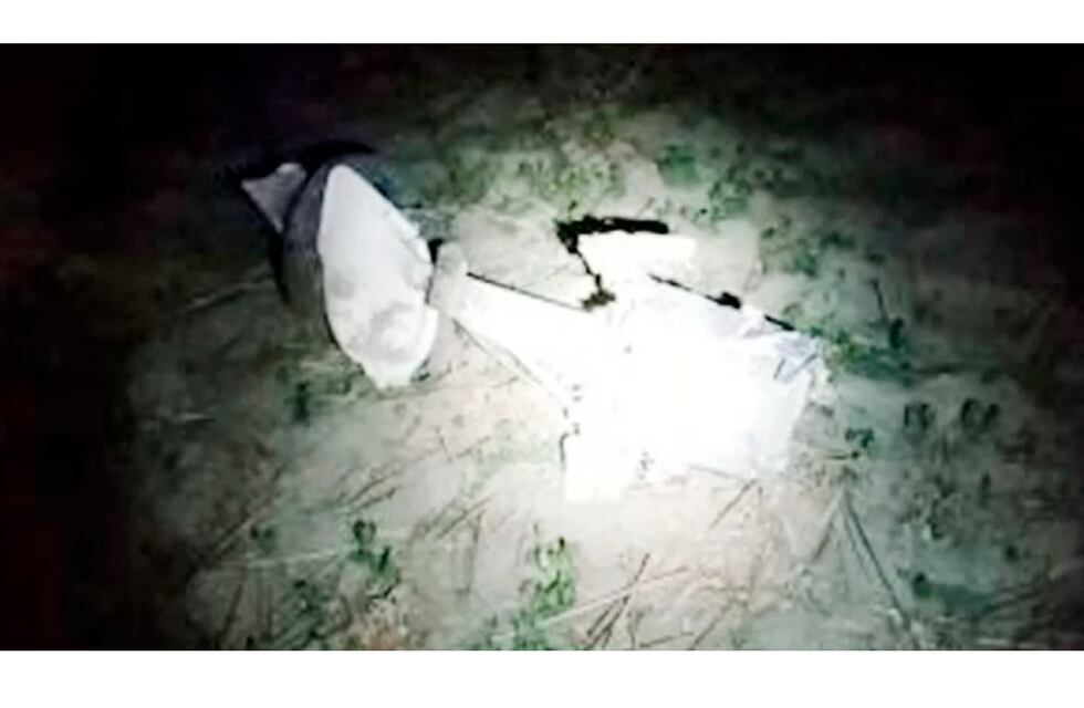 Chaco: robaron una avioneta, se quedaron sin combustible y terminaron estrellándose