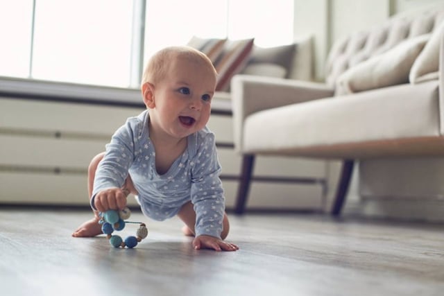 Bebés de 15 meses pueden identificar objetos a través del lenguaje, según un nuevo estudio. (Europa Press)