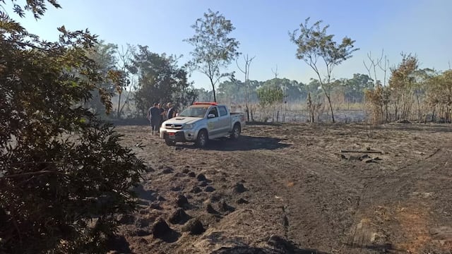 Pese al trabajo de los bomberos, sigue activo el incendio en las 600 hectáreas.