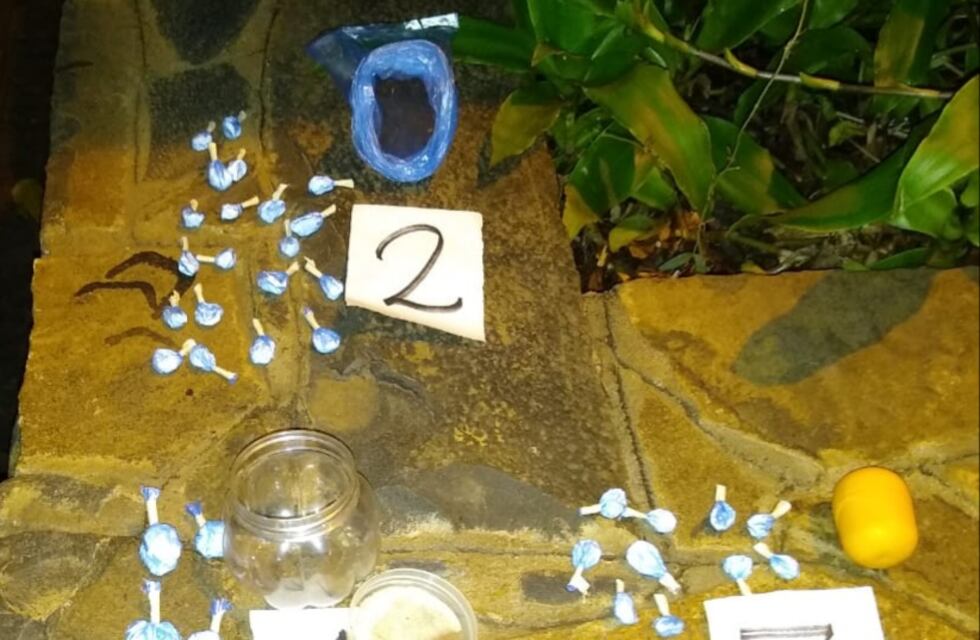 Puerto Iguazú: la policía detuvo a un joven con 40 envoltorios de cocaína