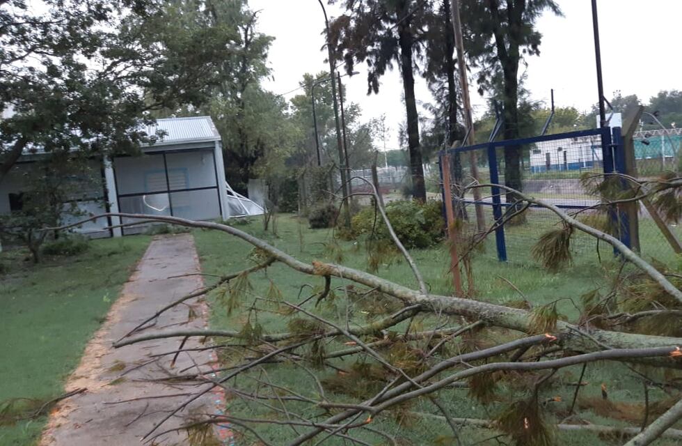 La tormenta dejó techos volados, árboles y postes caídos
