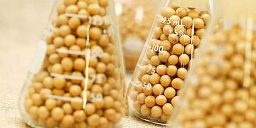 Laboratorio de cereales geneticamente modificados