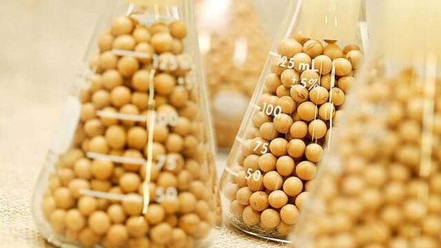 Laboratorio de cereales geneticamente modificados