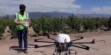 El Iscamen también utiliza drones de precisión para el control de la plaga polilla de la vid. Gentileza