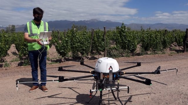El Iscamen también utiliza drones de precisión para el control de la plaga polilla de la vid. Gentileza