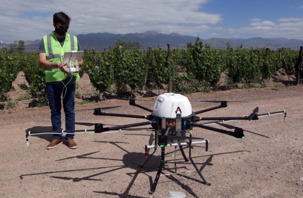 El Iscamen utiliza trampas “inteligentes” para el control de plagas agrícolas