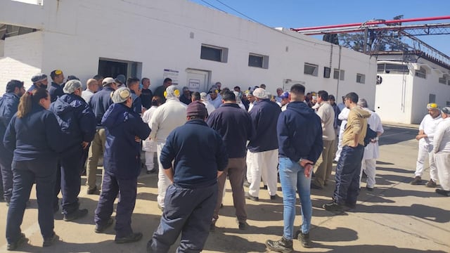 Cerró la fábrica que elaboraba yogures y postres para SanCor: unas 400 personas despedidas