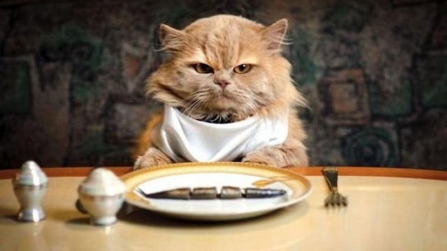 Un estudio de la Universidad North Carolina at Chapel Hill determinó por qué muchos se ponen de mal humor al tener hambre.