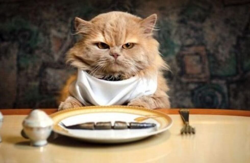 ¿Por qué hay gente que se enoja cuando tiene hambre?