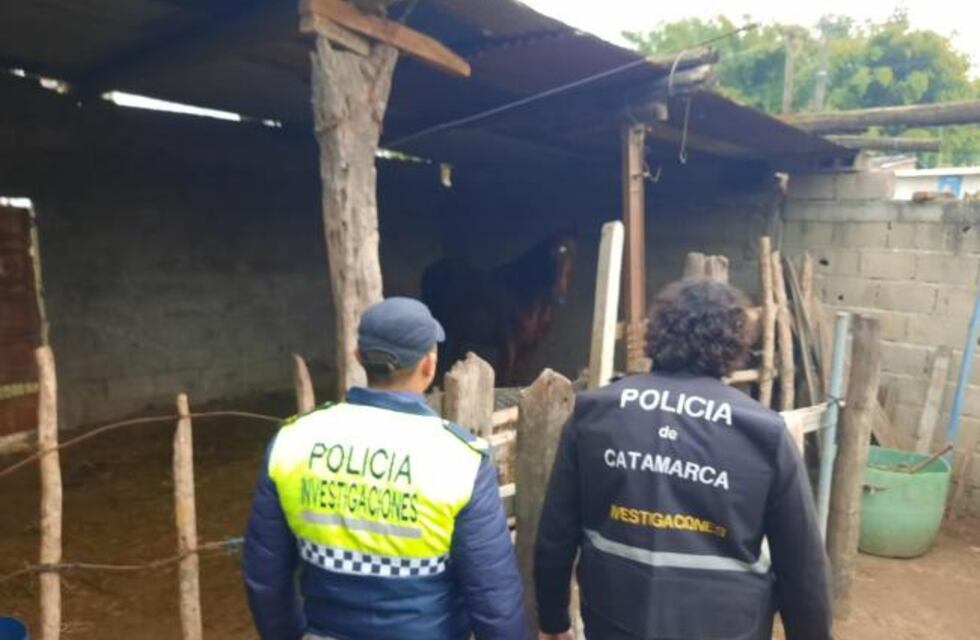 Santa Ana: lograron recuperar un caballo de carrera que fue robado en Catamarca
