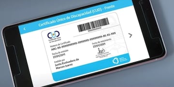 Certificado Único de Discapacidad: qué es y cuáles son los beneficios que le ofrece a sus afiliados. (Gentileza)