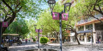 Concurso de Ornamentación "Octubre Rosa en Mendoza" para comercios de la capital.