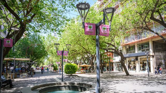 Concurso de Ornamentación "Octubre Rosa en Mendoza" para comercios de la capital.