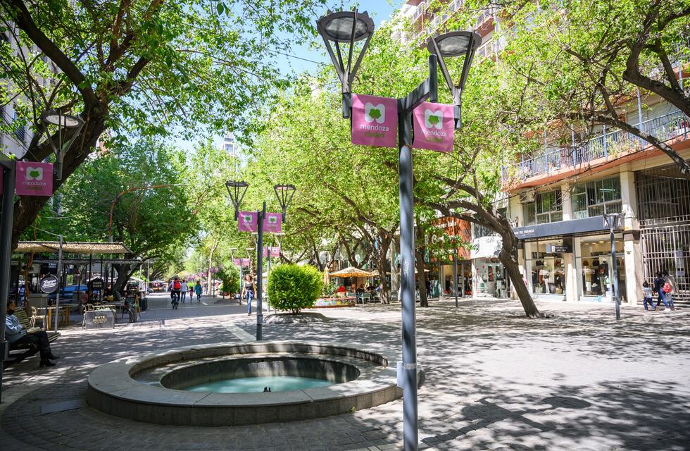“Octubre Rosa en Mendoza”: cómo participar en el Concurso de Ornamentación para comercios