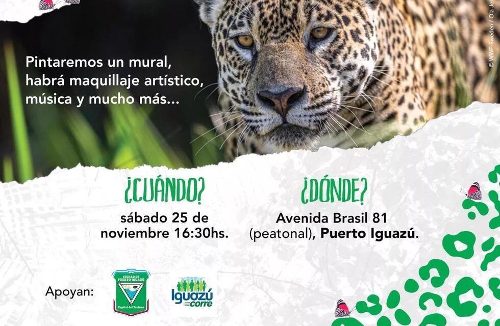 Puerto Iguazú: se realizará una actividad artística y gratuita por el Día Internacional y Provincial del Yaguareté