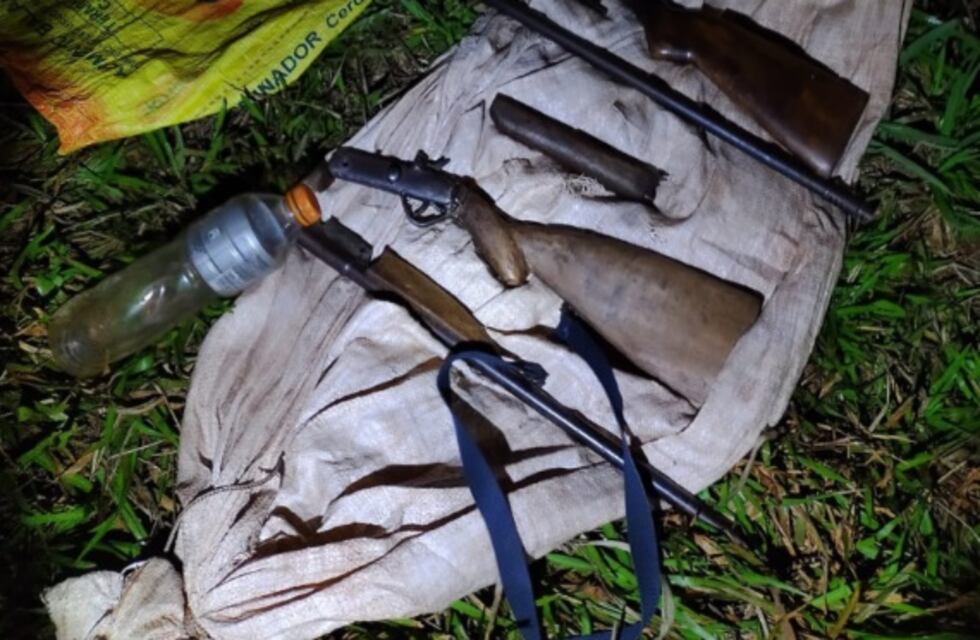 Secuestran armas y desarticulan campamento de furtivos