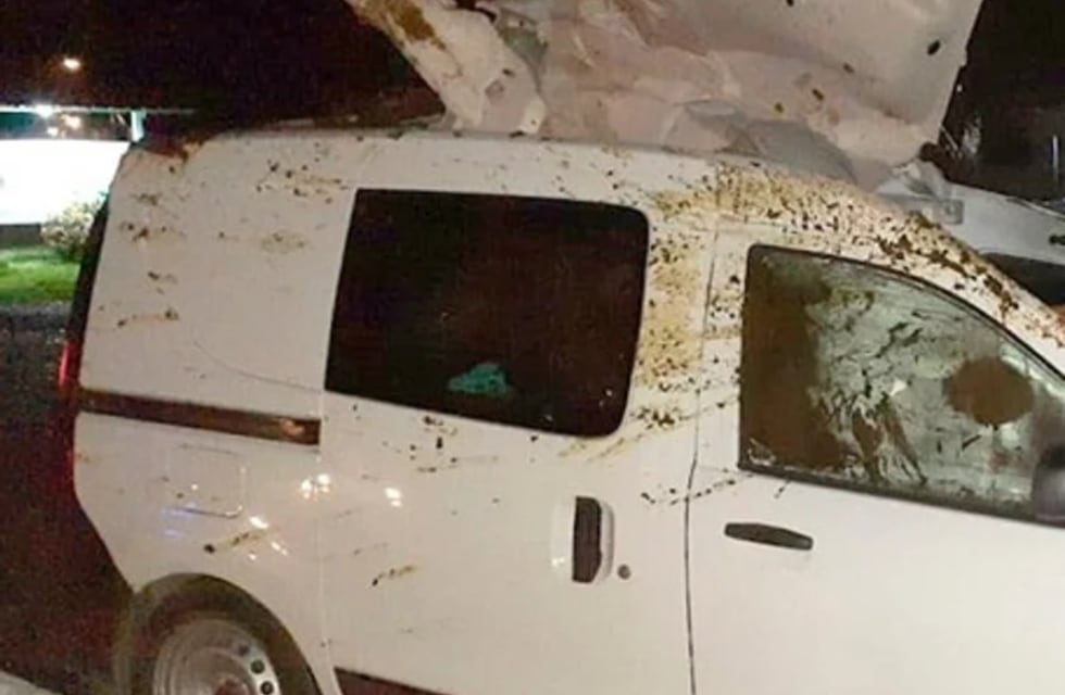 Una mujer conducía por la ruta e impactó contra un caballo