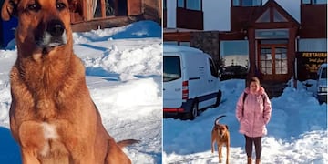 Pampero, el perrito que acompaña a su dueña todos los días.
