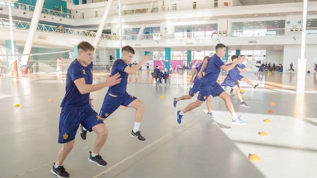 Atlanta trabaja en las instalaciones de la Universidad de La Punta.